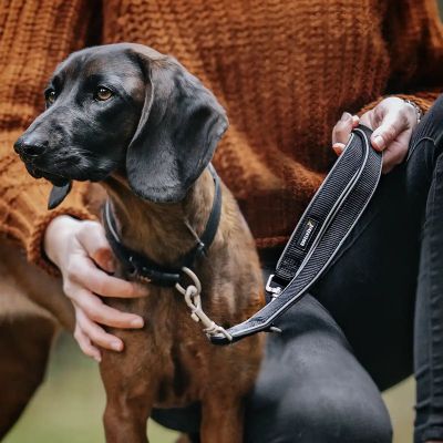 Thumbnail 3: Rudelkönig RudelkönigHundeleine Reflektierende Hundeleine Paola, Verstellbare 2,30m Führleine