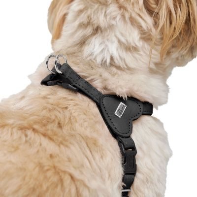 Thumbnail 7: HUNTER Geschirr Soho Mini XS, schwarz