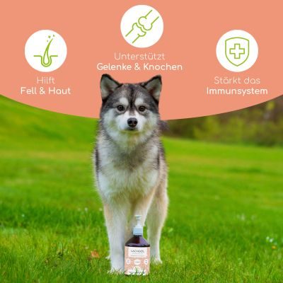 Thumbnail 4: Wolfsbacher Natur Natürliches Lachsöl für Hunde & Katzen 500ml