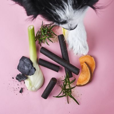 Thumbnail 6: Tierliebhaber Darmwohl Sticks für Hunde - Natürlicher Darmaufbau. Für schöne, feste Häufchen. Bei akutem Durchfall