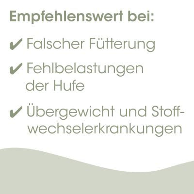 Thumbnail 5: cdVet EquiGreen Huf-Tonikum 250 ml – Ergänzungsfutterlösung für den Hufstoffwechsel bei Pferden