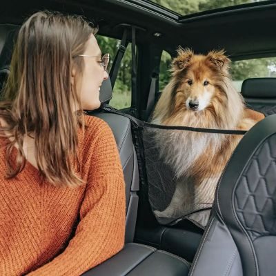 Thumbnail 2: Rudelkönig Hundedecke Auto Rückbank, Kratzfeste Autoschondecke, Hundedecke