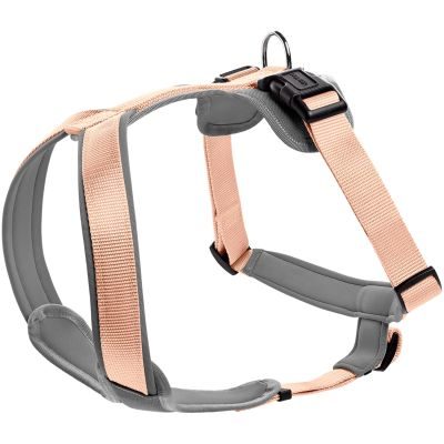 HUNTER Geschirr Neopren L, pfirsich/grau