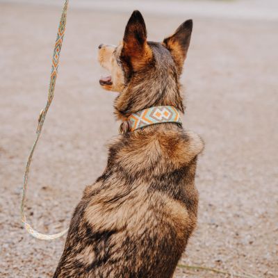 Thumbnail 6: Hey Lana Premium Führleine - 3-fach verstellbar M-XL 3/200 / Orange / Mint