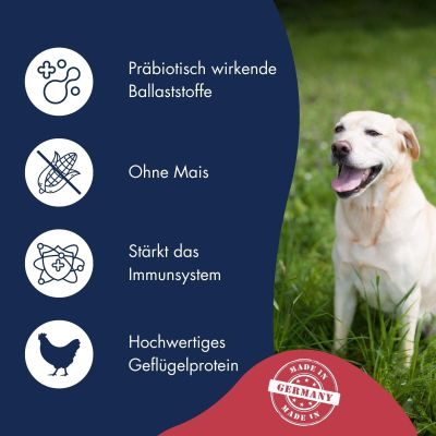 Thumbnail 3: Dr.Clauder’s Best Choice Adult Medium 12,5kg