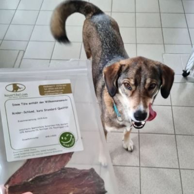 Thumbnail 1: kauartikel.com Rinder-Schlund, kurz - Hunde-Kauartikel - Hunde-Snack - Kausnack - Leckerli vom Rind