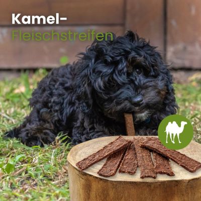 Thumbnail 2: kauartikel.com Kamel-Fleischstreifen - hypoallergener Hunde-Kauartikel - Hunde-Snack - Kausnack - Leckerli