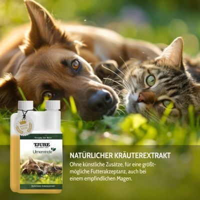 Thumbnail 8: TJURE TJURE - Ulmenrinde Liquid | Naturkraft für ein gutes Bauchgefühl 1000 ml