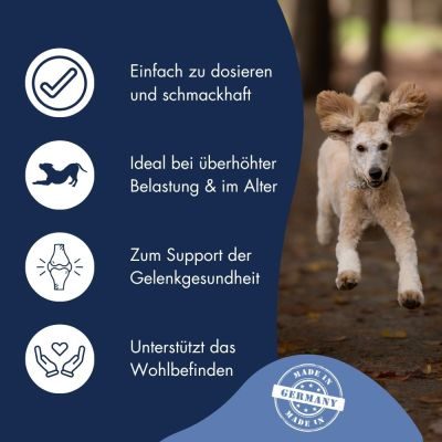 Thumbnail 4: Dr.Clauder´s Gelenk Paste 100g