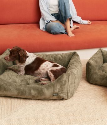 Thumbnail 4: CAFIDE Cord Hundebett, Snozy