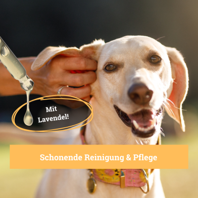 Thumbnail 1: BeG Buddy Kratz-Ohr Ohrenpflege für Hundeohren Gerüche 50 ml