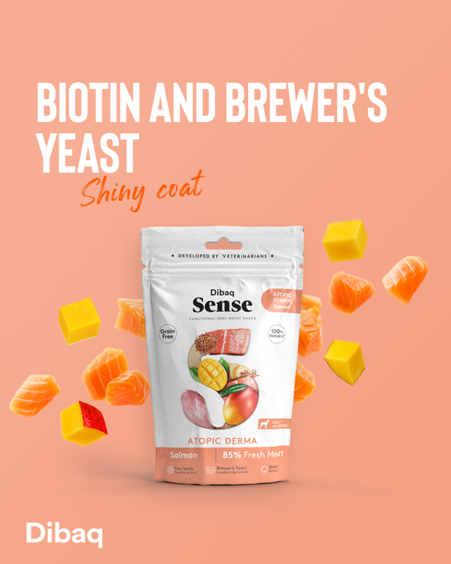 Dibaq Sense funktionaler Snack Derma Lachs 100g