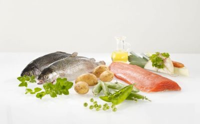 Thumbnail 1: WESTHO petfood Sylt mit 75 % Lachs & Forelle 6x800g