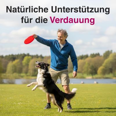 Thumbnail 3: alfavet EnzymoPank Enzyme aus Schweinepankreas, mit verdauungsfördernden Kräutern zur Unterstützung der Verdauung 100 g