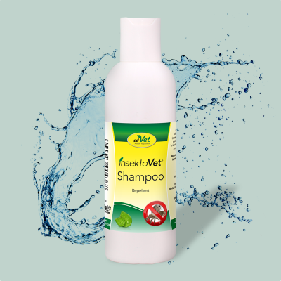 Thumbnail 10: insektoVet® Shampoo 200 ml – Pflegeshampoo zur natürlichen Geruchsmaskierung für Hunde & Katzen