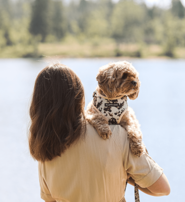 Thumbnail 4: Fluffy Dog Hundegeschirr „Coffee“ – bequemes Alltagsgeschirr aus veganem Neopren mit D-Ring & Mesh-Polsterung