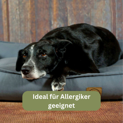 Thumbnail 4: Bettenhaus Traumhund® Orthopädisches Hundebett - Organic 95