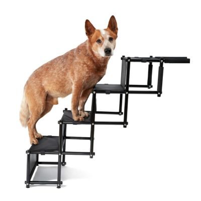 Thumbnail 1: PIUPET Klappbare Hundetreppe I Mobile Auto-Einstiegshilfe für große und kleine Hunde I Wasserabweisende PVC Hundeleiter für Sicherheit und Komfort