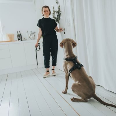 Thumbnail 6: HUNTER Geschirr Aalborg M-L/1, schwarz