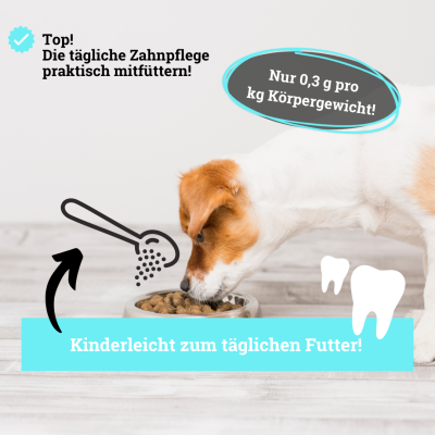 Thumbnail 5: BeG Buddy Zahnpulver mit Minze für Hunde, Zahnstein und Maulgeruch, 150 g