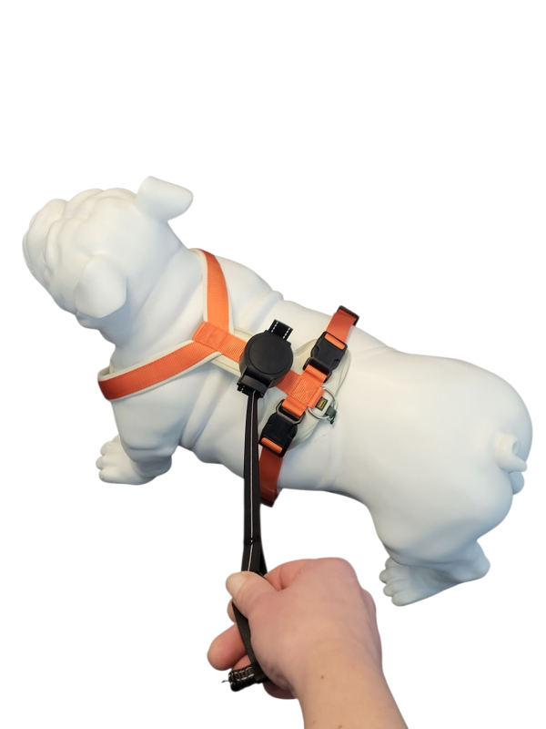 doddle for dogs Leine schwarz für Hundegeschirr für große Hunde