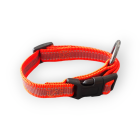 INT4BELUA Halsband verstellbar 23-37cm reflex Orange