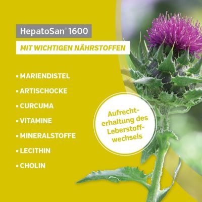 Thumbnail 1: alfavet HepatoSan 1600 unterstützt den Leberstoffwechsel von Hunden 32 Tbl.