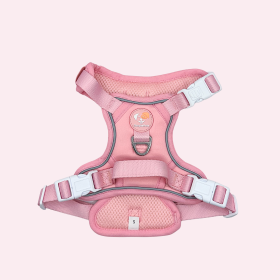 SimplePets Alltagsheld-Geschirr in Blush Pink