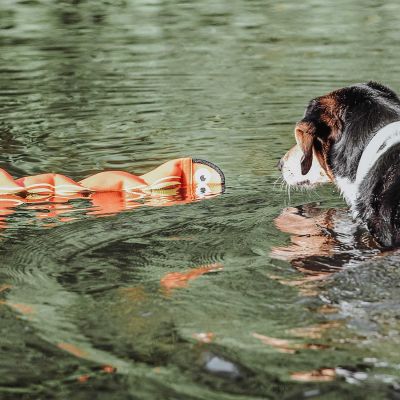 Thumbnail 2: HUNTER Hundespielzeug Aqua Mindelo, orange 52 cm