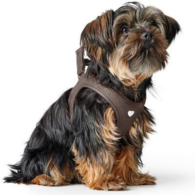 HUNTER Geschirr Love S, braun
