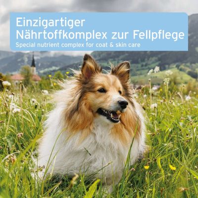 Thumbnail 6: AniForte AniForte® plus Fell & Haut