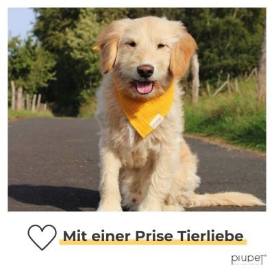 Thumbnail 5: PIUPET Hundehalstuch I 2er Set Hundehalstücher I Hundebekleidung & Zubehör I 76x53x53cm I Gelb / Grau (L)