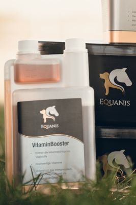 Equanis VitaminBooster - Vitaminsaft für Pferde