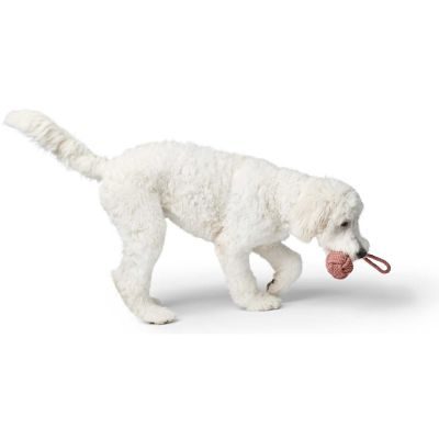 Thumbnail 3: HUNTER Hundespielzeug Inari S pastellrot, Ø = 6 cm (20 cm Gesamtlänge)