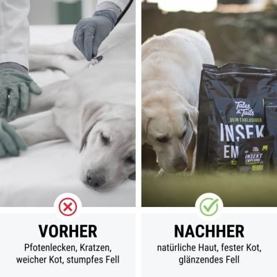 Thumbnail 7: Tales & Tails InSektempfang Softtrockenfutter - 8kg (2x4kg)