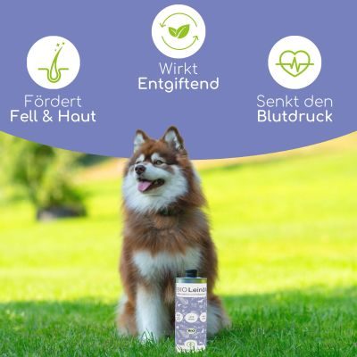 Thumbnail 2: Wolfsbacher Natur Bio Leinöl 1 Liter