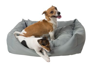 Thumbnail 8: INT4BELUA Bett DOMINO Gr. M