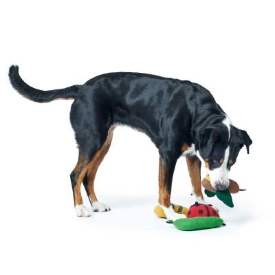 Thumbnail 2: HUNTER Hundespielzeug Florenz, Biene 29 cm