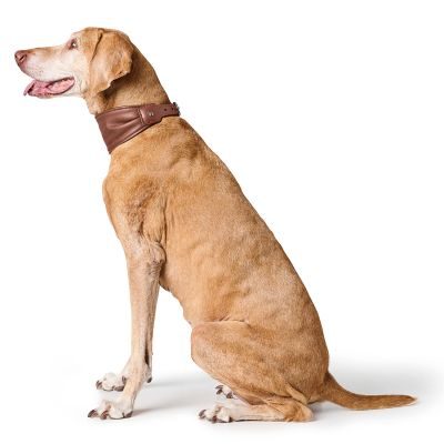 Thumbnail 3: HUNTER Ergonomisches Halsband Arvika S (40), cognac/schwarz