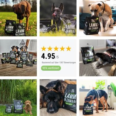 Thumbnail 8: Tales & Tails LammBa Zamba! Softtrockenfutter - 8 kg (2x4kg)