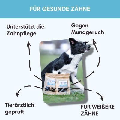 Thumbnail 3: Sollis Zahnpflege Leckerli für Hunde 80 g