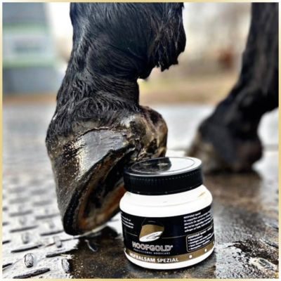 Thumbnail 2: Hoofgold HoofgoldHufbalsam SPEZIAL - mit ätherischen Ölen