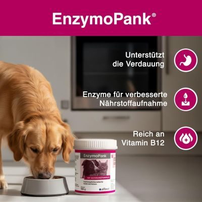 Thumbnail 4: alfavet EnzymoPank Enzyme aus Schweinepankreas, mit verdauungsfördernden Kräutern zur Unterstützung der Verdauung 100 g