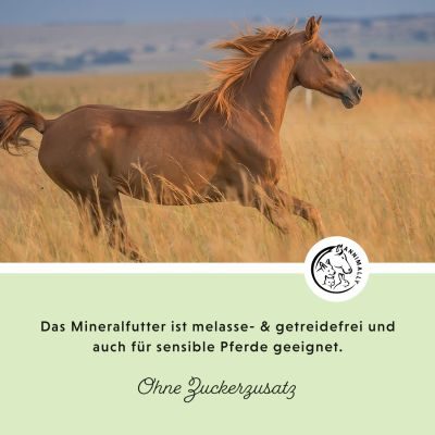 Thumbnail 6: annimally Mineralfutter Sport & Leistung