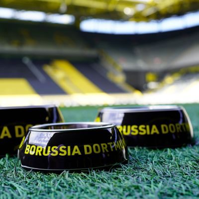 Thumbnail 7: HUNTER Melamin-Napf BVB 700 ml, schwarz/gelb