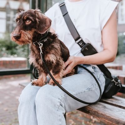 Thumbnail 8: HUNTER Halsband Round & Soft Canadian Up XS (32), schwarz