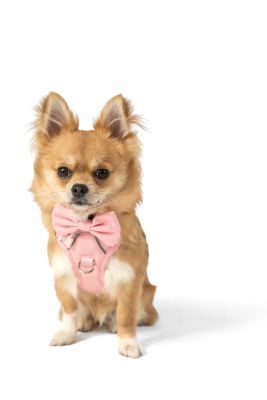 Thumbnail 5: SimplePets Alltagsheld-Geschirr in Blush Pink