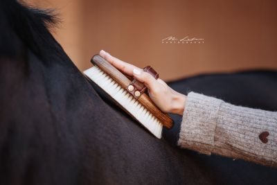 Thumbnail 8: Equimour Glanz-Duo SET