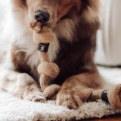 Thumbnail 3: Vitomalia Geflochtenes Mehrknoten-Zerr-Seil für Hunde: 100% Naturhanf, handgeknotet - Eco Tug XL