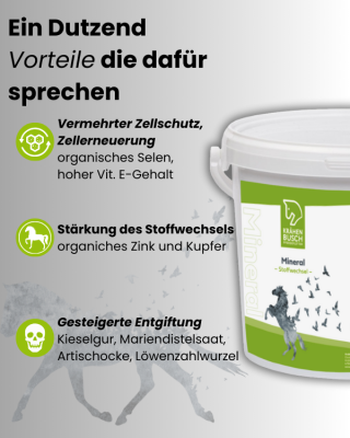 Thumbnail 2: Krähenbusch® Mineral Stoffwechsel bei Cushing, EMS, Hufrehe